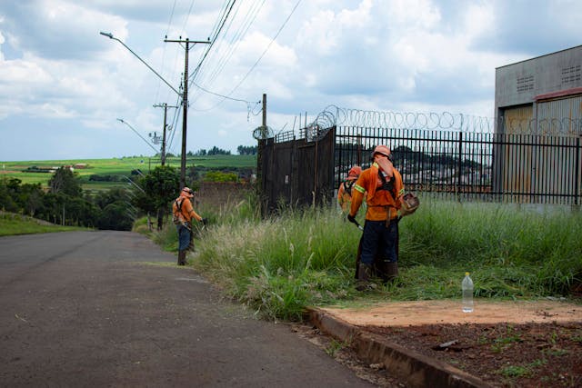 Grass Cutting & Maintenance